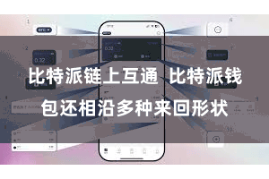 比特派链上互通 比特派钱包还相沿多种来回形状