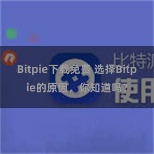 Bitpie下载免费 选择Bitpie的原因，你知道吗？