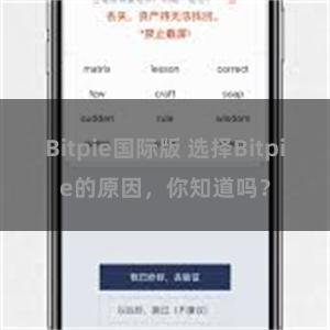 Bitpie国际版 选择Bitpie的原因，你知道吗？