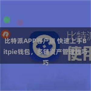 比特派APP客户端 快速上手Bitpie钱包，多链资产管理技巧