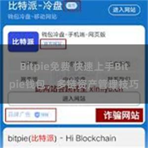 Bitpie免费 快速上手Bitpie钱包，多链资产管理技巧