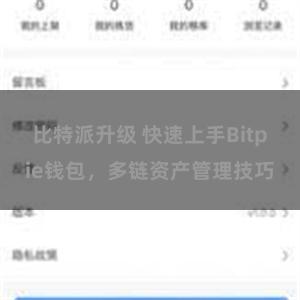 比特派升级 快速上手Bitpie钱包，多链资产管理技巧