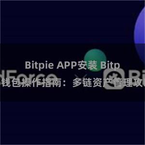 Bitpie APP安装 Bitpie钱包操作指南：多链资产管理攻略