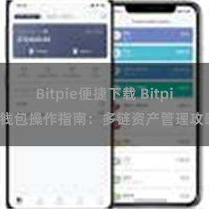 Bitpie便捷下载 Bitpie钱包操作指南：多链资产管理攻略