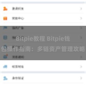 Bitpie教程 Bitpie钱包操作指南：多链资产管理攻略