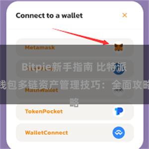 Bitpie新手指南 比特派钱包多链资产管理技巧：全面攻略