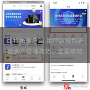 比特派客户端 比特派钱包多链资产管理技巧：全面攻略