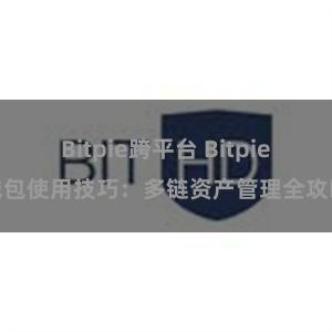 Bitpie跨平台 Bitpie钱包使用技巧：多链资产管理全攻略