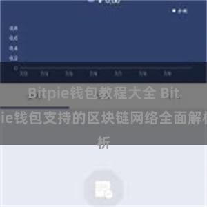 Bitpie钱包教程大全 Bitpie钱包支持的区块链网络全面解析