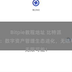 Bitpie教程地址 比特派钱包：数字资产管理生态进化，无限可能！