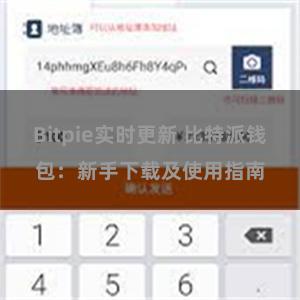 Bitpie实时更新 比特派钱包：新手下载及使用指南