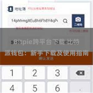 Bitpie跨平台下载 比特派钱包：新手下载及使用指南