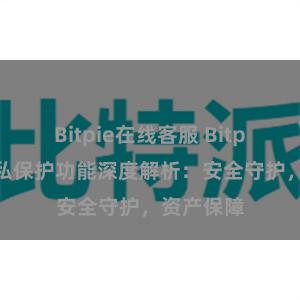Bitpie在线客服 Bitpie钱包隐私保护功能深度解析：安全守护，资产保障