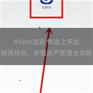 Bitpie加密 快速上手比特派钱包，多链资产管理全攻略