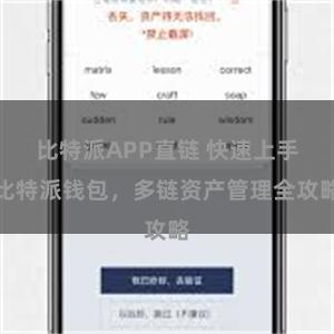 比特派APP直链 快速上手比特派钱包，多链资产管理全攻略