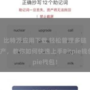 比特派应用下载 轻松管理多链资产，教你如何快速上手Bitpie钱包！