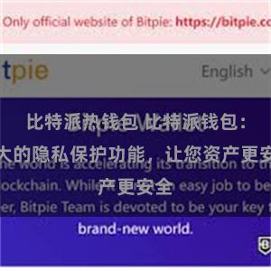 比特派热钱包 比特派钱包：强大的隐私保护功能，让您资产更安全