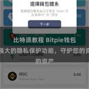 比特派教程 Bitpie钱包：强大的隐私保护功能，守护您的资产