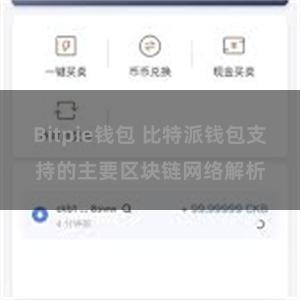 Bitpie钱包 比特派钱包支持的主要区块链网络解析