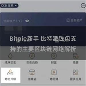 Bitpie新手 比特派钱包支持的主要区块链网络解析