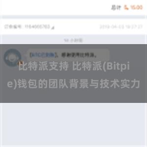 比特派支持 比特派(Bitpie)钱包的团队背景与技术实力