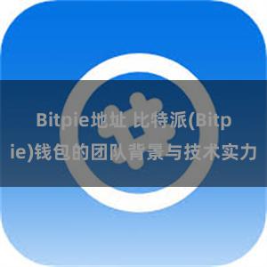 Bitpie地址 比特派(Bitpie)钱包的团队背景与技术实力