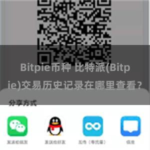 Bitpie币种 比特派(Bitpie)交易历史记录在哪里查看？