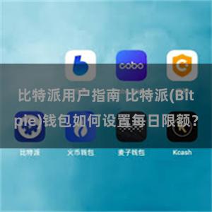 比特派用户指南 比特派(Bitpie)钱包如何设置每日限额？