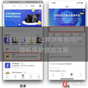 比特派提现 比特派钱包用户隐私保护措施详解
