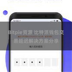 Bitpie资源 比特派钱包交易延迟解决方案分享