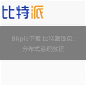 Bitpie下载 比特派钱包：分布式治理教程