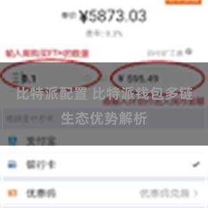 比特派配置 比特派钱包多链生态优势解析