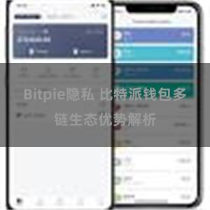Bitpie隐私 比特派钱包多链生态优势解析