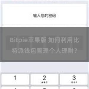 Bitpie苹果版 如何利用比特派钱包管理个人理财？
