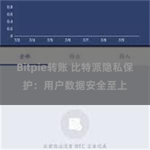 Bitpie转账 比特派隐私保护：用户数据安全至上