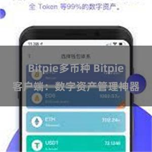 Bitpie多币种 Bitpie客户端：数字资产管理神器
