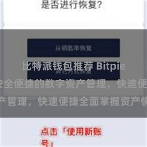 比特派钱包推荐 Bitpie APP直链，安全便捷的数字资产管理，快速便捷全面掌握资产情况