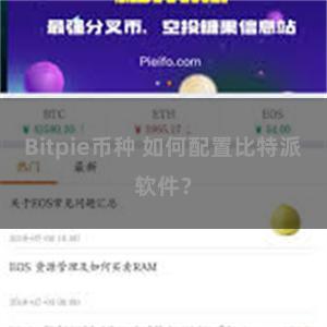 Bitpie币种 如何配置比特派软件？