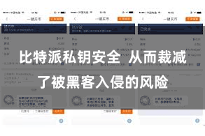 比特派私钥安全  从而裁减了被黑客入侵的风险