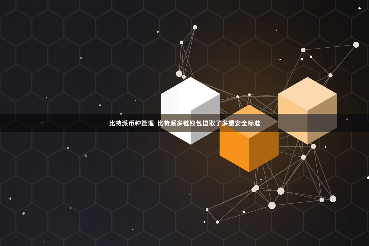 比特派币种管理  比特派多链钱包摄取了多重安全标准